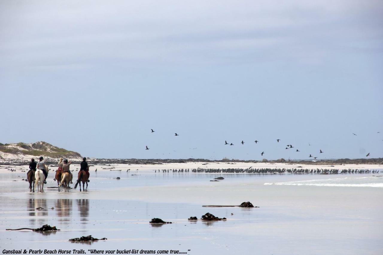 Ons C-Huis - Gansbaai Seafront Accommodation, Back-Up Power Exterior foto